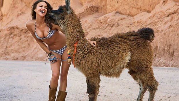 exotic-animals-post-video.jpg